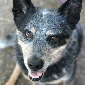 Meet your Posher, Rich